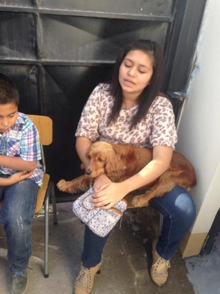 Operativo de Esterilización Baquedano (5)