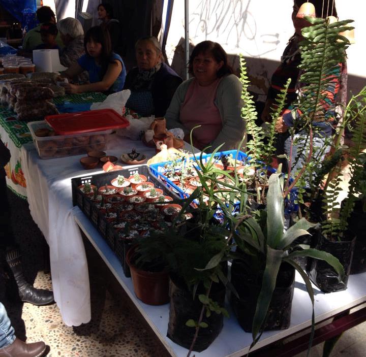 feria1