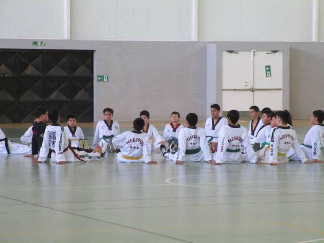 Clínica de Taekwondo (1)