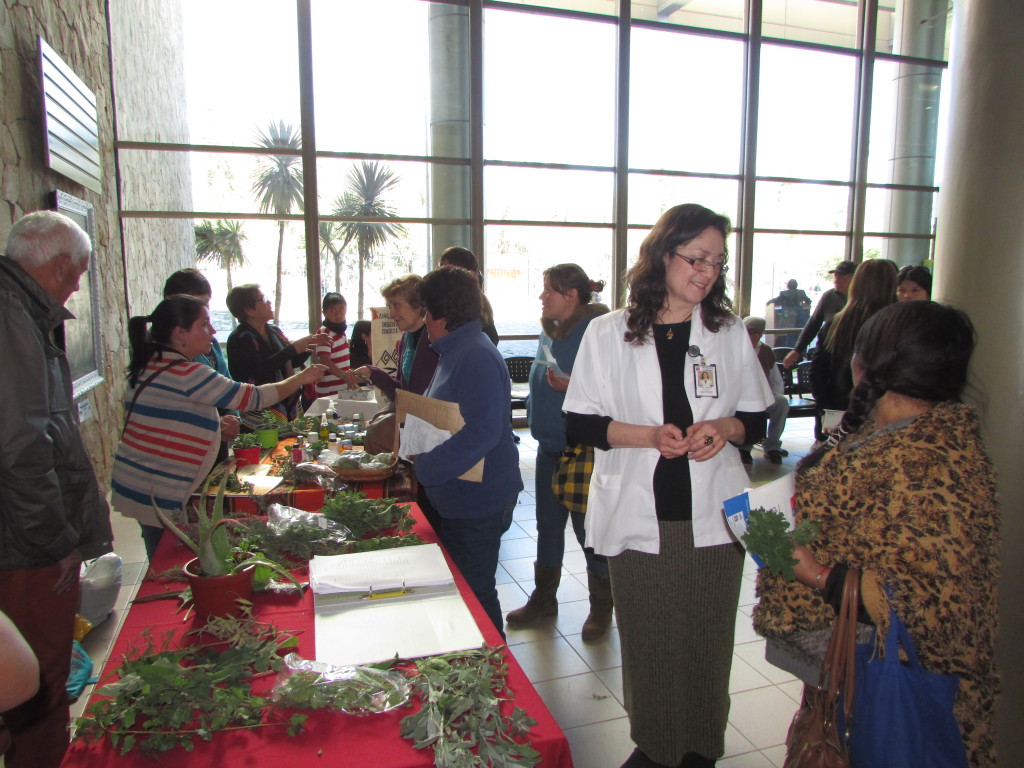 Actividad PRAIS- MEDICINAS ANCESTRALES (2)