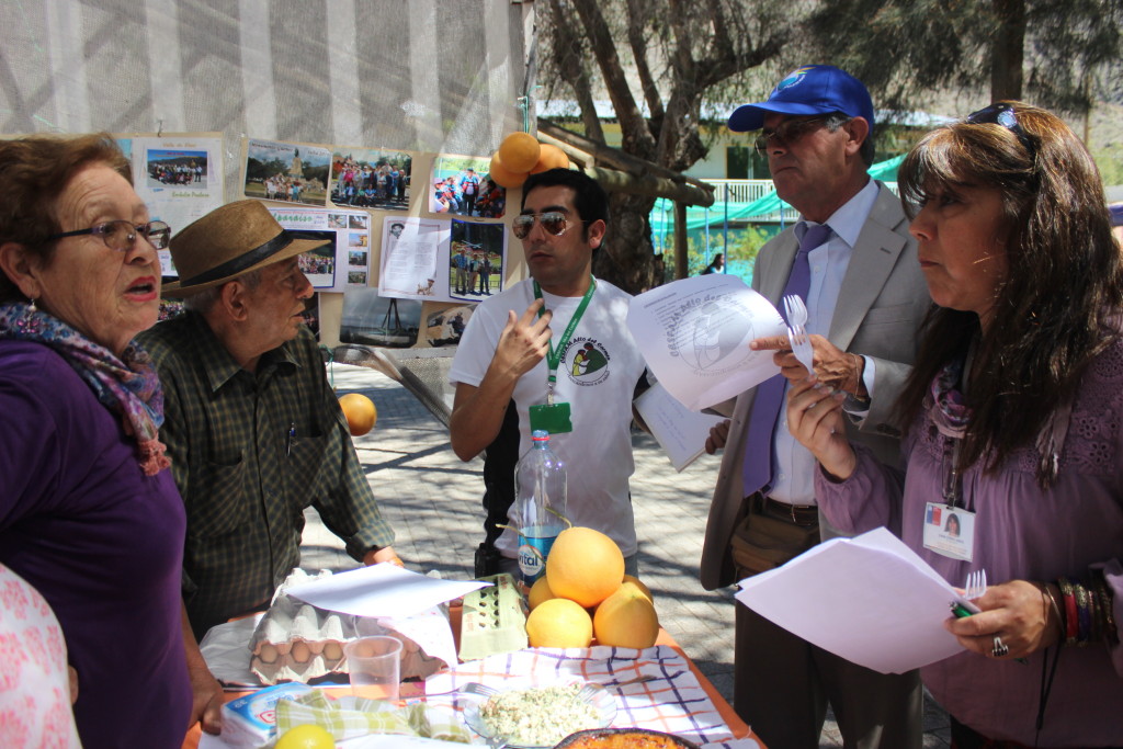 Feria Costumbrista Saludable (224)