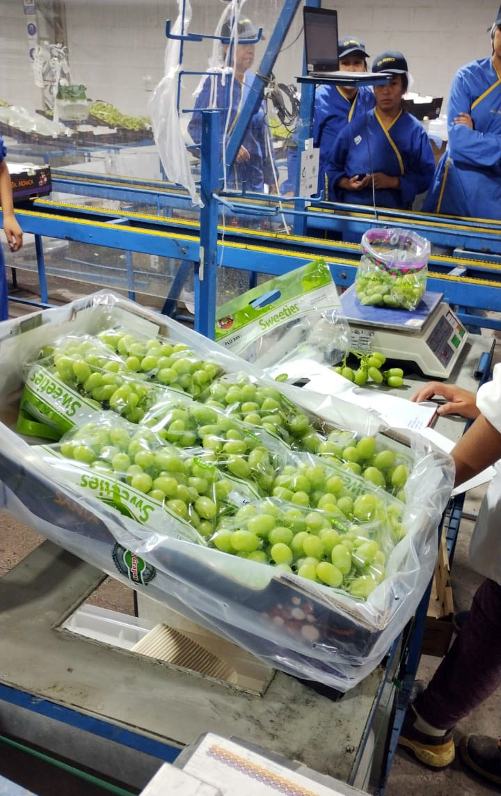 Productora regional “Gravo” concretó venta con importadora ecuatoriana tras actividad gestionada por ProChile