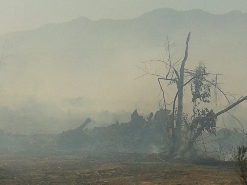 Cuatro compañías de Vallenar y Freirina trabajan en incendio de Quebrada Honda