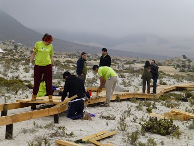 Voluntarios del programa Vive tus Parque mejoraron la infraestructura del Parque Nacional Llanos de Challe