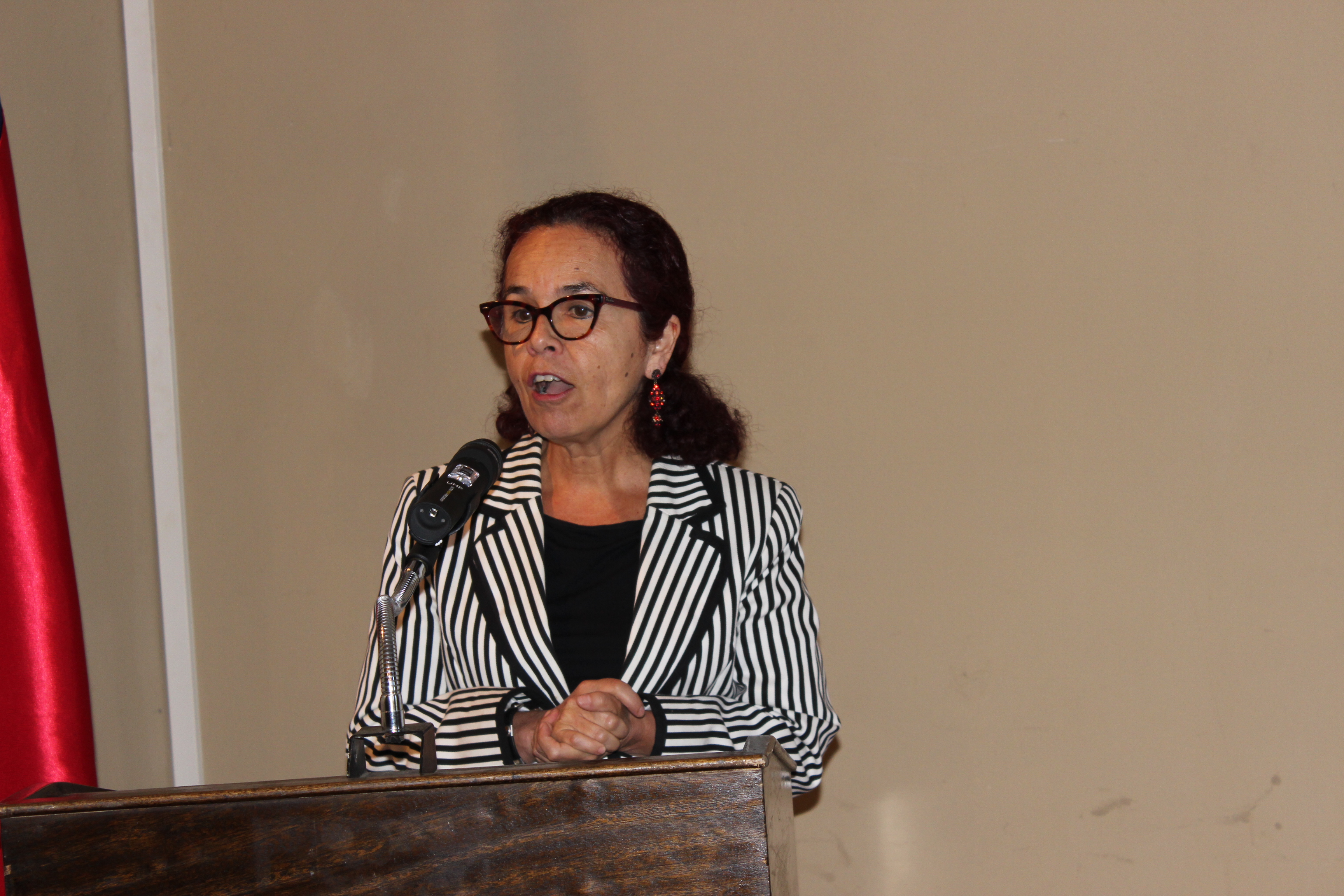 Gobernadora del Huasco habla sobre cesantía y proyectos en la provincia