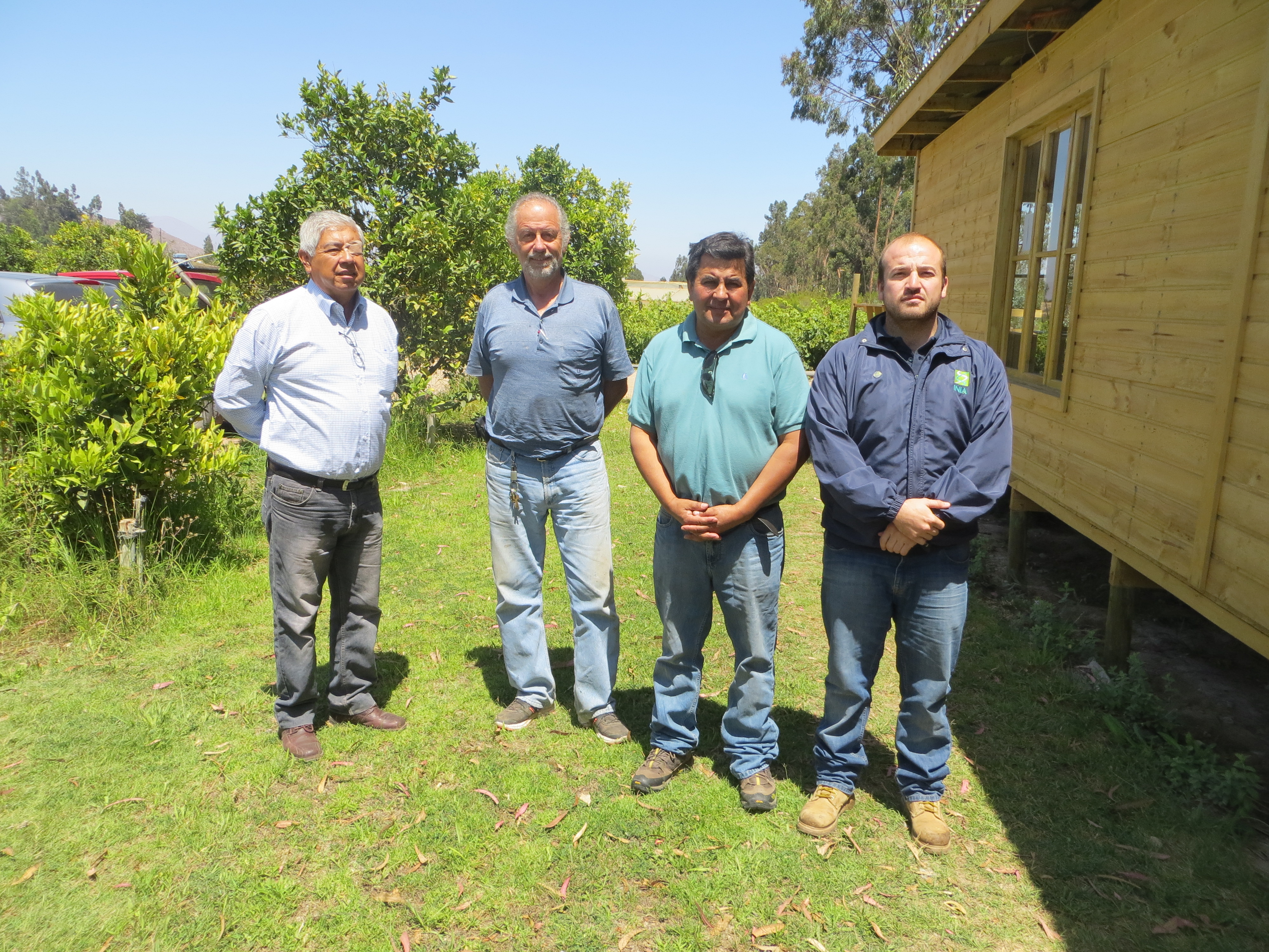Panel de catadores buscan mejorar calidad de aceites del Huasco para obtener denominación de origen
