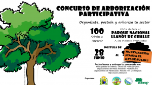 Extienden plazo para concurso de arborización en Vallenar
