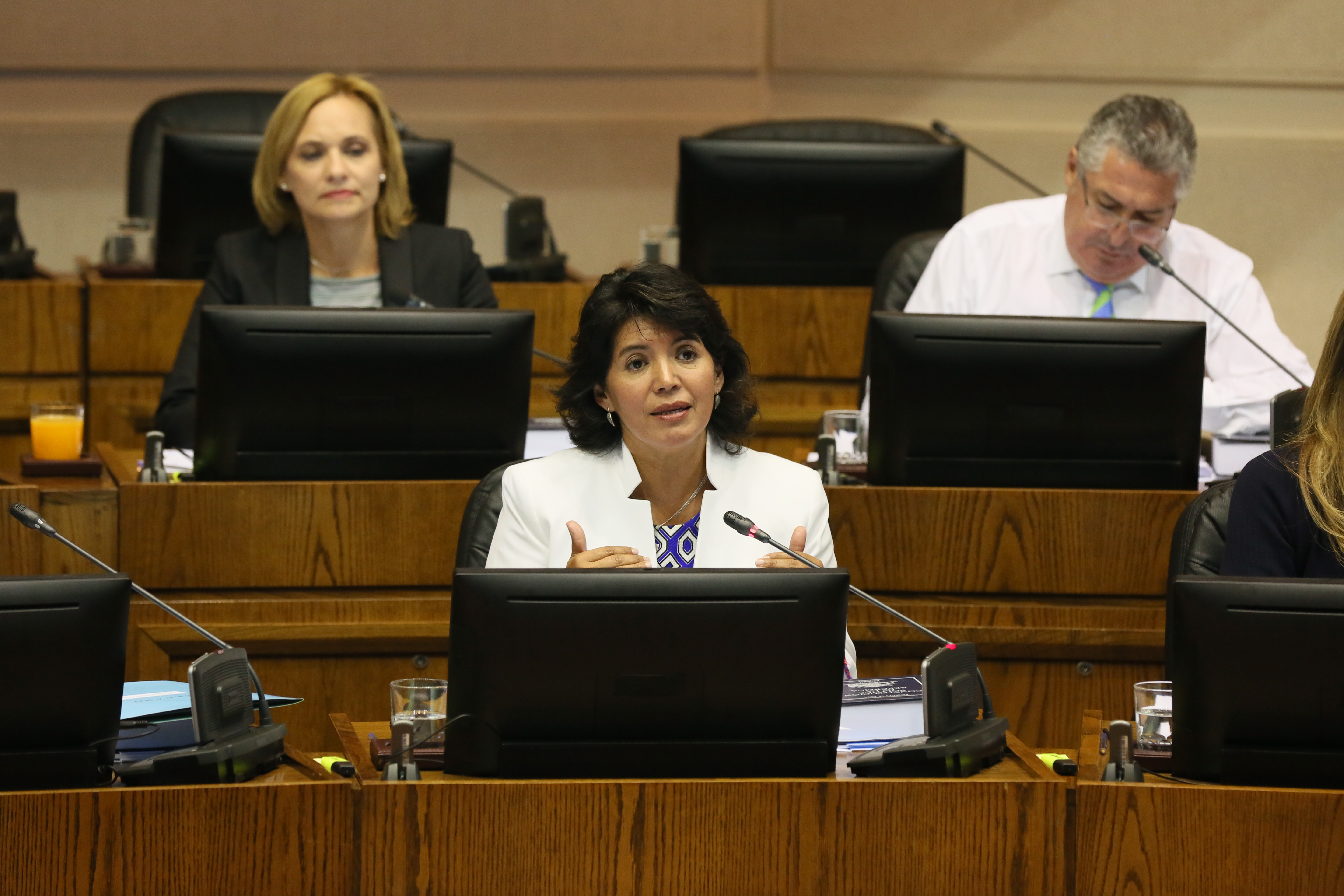 Senadora Provoste tras reunión de la Oposición: “Este miércoles hemos citado a la ministra de Energía para abordar la situación de los medidores”