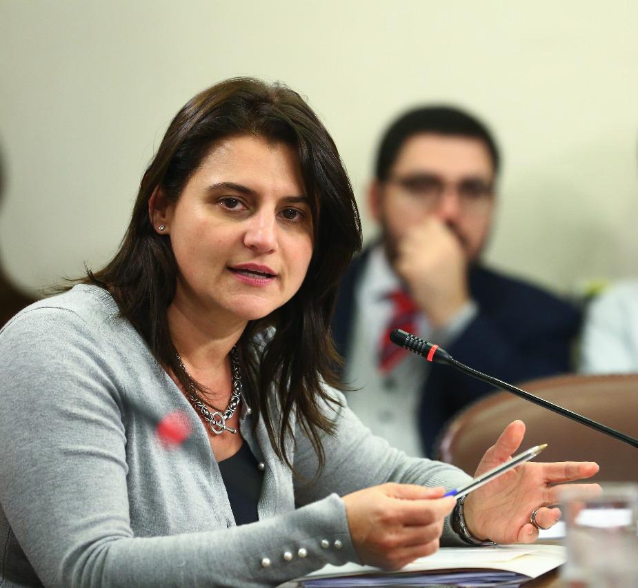 Diputada Sofía Cid expuso en la Comisión de Economía del Senado, proyecto de protección a las mipymes