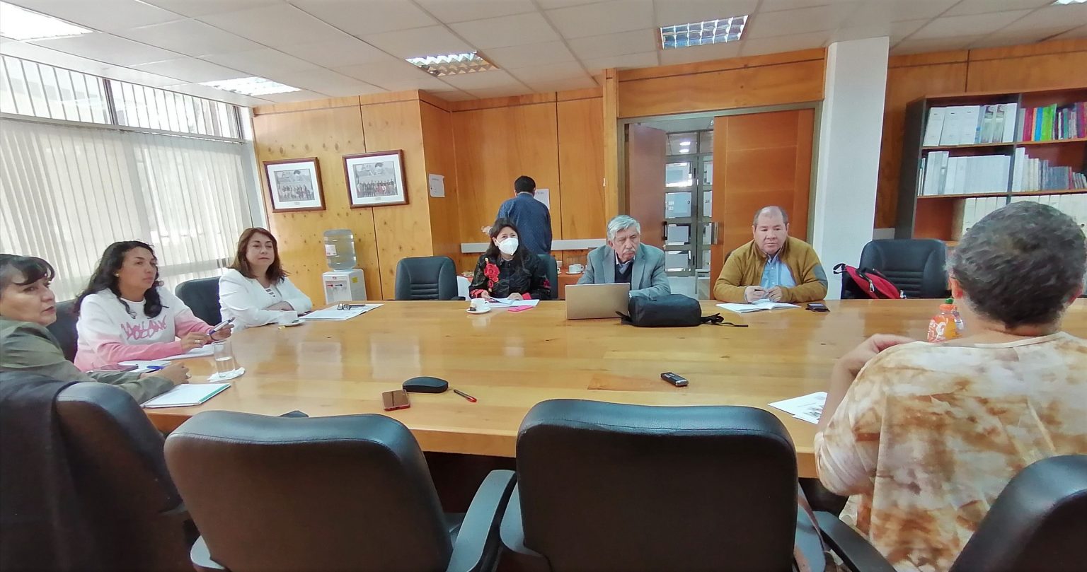 Consejeros Regionales de Atacama plantean gestionar programa destinado a mujeres con cáncer de mamas