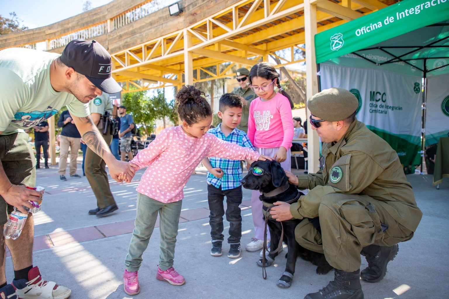 Fundación Perritos Callejeros congregó a las familias vallenarinas entorno a la tenencia responsable de mascotas