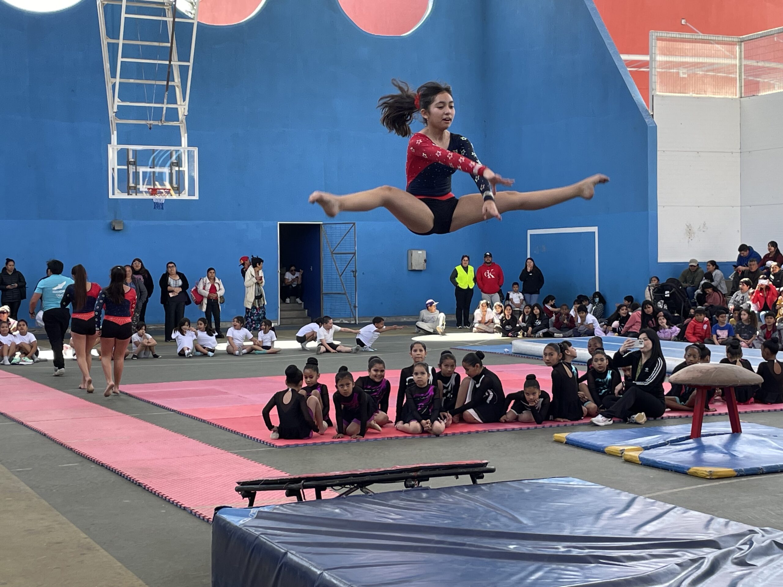 Realizan jornada de gimnasia artística y rítmica entre escuelas de Vallenar y Copiapó